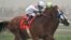 Justify (7), with Mike Smith aboard, runs against Good Magic, with Jose Ortiz atop, in the final stretch of the 143rd Preakness Stakes horse race at Pimlico race track, May 19, 2018, in Baltimore. Justify won the race. 