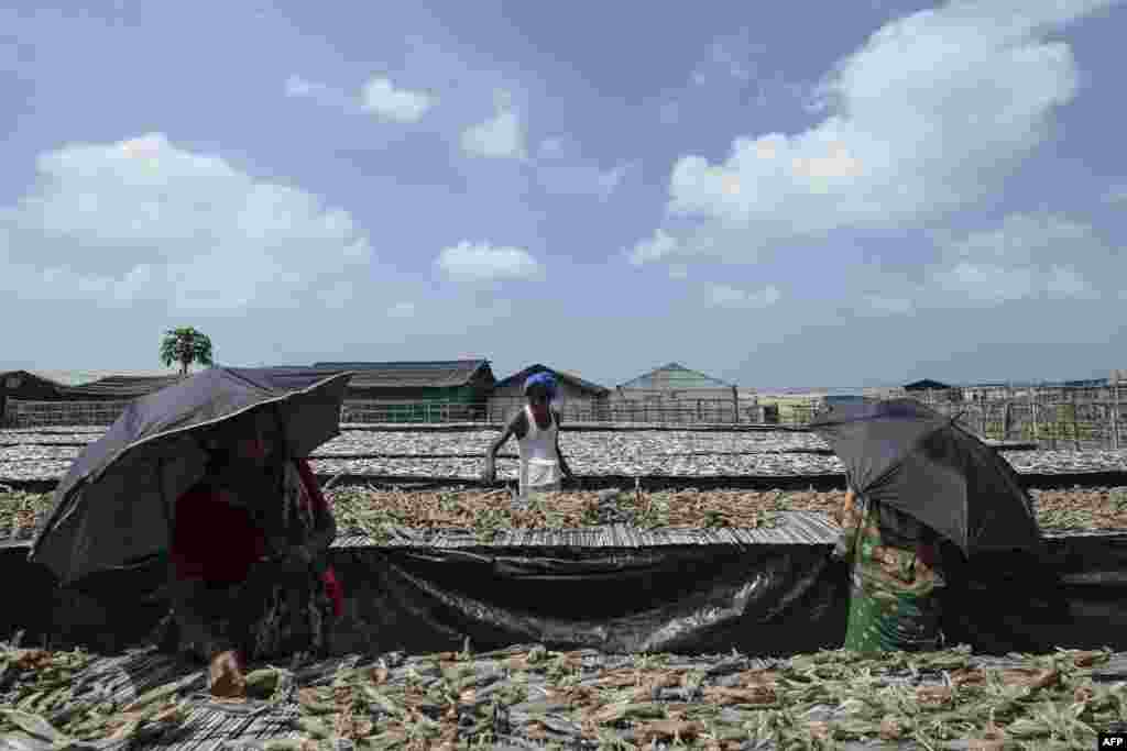 Laborers arrange fish to be sundried at a processing yard in Cox&#39;s Bazar, Bangladesh. 