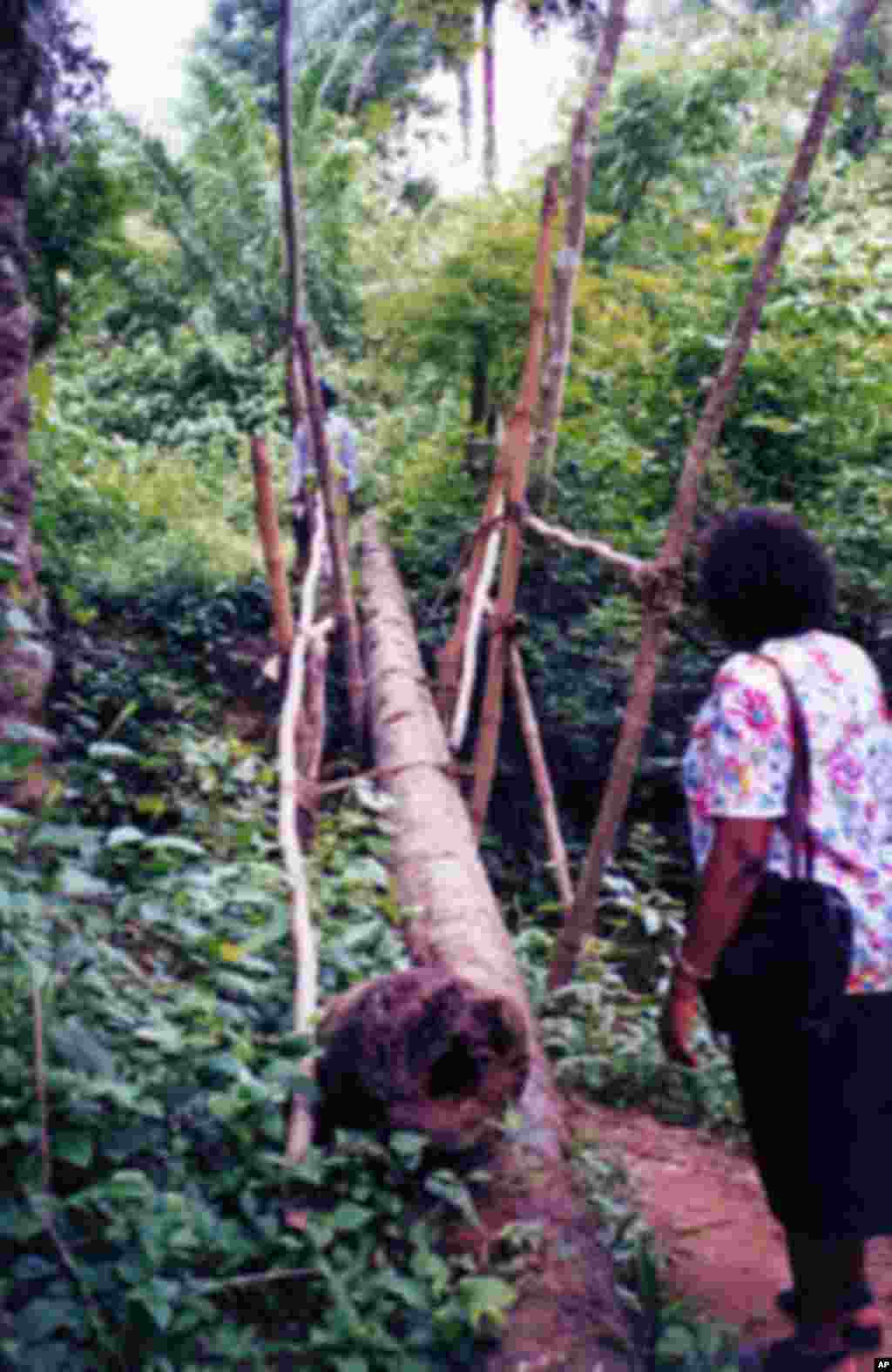 Crossing a log bridge in Abia State Nigeria to reach a remote, mountainous area during a monitoring visit.