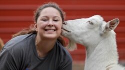 Arrissa Swails snuggles up with one of her many goats Sept. 1, 2020, near Jenera, Ohio.
