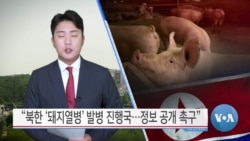 [VOA 뉴스] “북한 ‘돼지열병’ 발병 진행국…정보 공개 촉구”