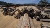 Un empleado usa maquinaria pesada para estibar troncos en la empresa maderera Serra Mansa, en la selva del Amazonas, Brasil. [Archivo]