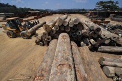 Un empleado usa maquinaria pesada para estibar troncos en la empresa maderera Serra Mansa, en la selva del Amazonas, Brasil.