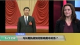 专家视点(傅瑞珍)：习长期执政如何影响美中关系？