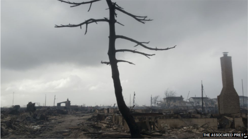 طوفان سے پہلے ان شاخوں پر بھی پتے تھے