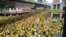 Protesters occupy a street during a rally in downtown Kuala Lumpur, Malaysia, Saturday, Nov. 19, 2016. Tens of thousands of yellow-shirt protesters rallied Saturday in Kuala Lumpur seeking Malaysian Prime Minister Najib Razak's resignation over a financial scandal, undeterred by a police ban and the arrest of more than a dozen activists.