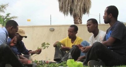 Chewing Khat Increasingly Popular Among Ethiopians