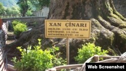 Şəkidə Xan Çinarı