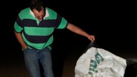 Eric Fishpool lifts a tarpaulin covering stored grain as mice scurry around on his farm near Tottenham, Australia on May 19, 2021. (AP Photo/Rick Rycroft)
