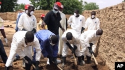 Health workers remove earth contaminated by lead from a family compound in the village of Dareta in Gusau, Nigeria, June 10, 2010.