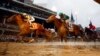 Trump Marah atas Keputusan Juri Batalkan Hasil Balapan Kuda Kentucky Derby