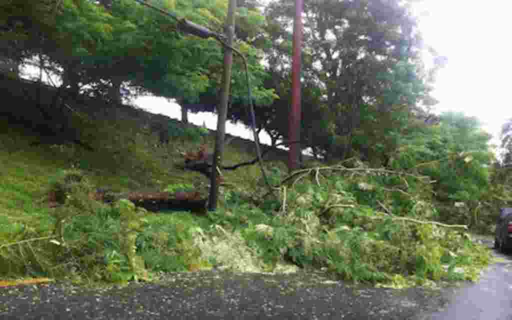 Algunos cables de electricidad fueron afectados por la caída de árboles en las carreteras de la isla.