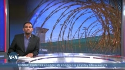 Mareykanka oo muhaajiriin geynaya Guantanamo 