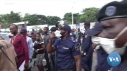 COVID Democracy Overview -- WEB