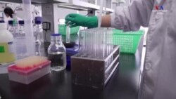 Չինական պատվաստանյութը կտրամադրվի Հարավային Ամերիկայի երկրներին դեռևս փորձարկման փուլում