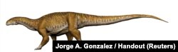 Reconstruction of Ingentia prima from the Late Triassic (205- 210Ma) with a total length 8-10 meters is shown in this handout image of an artist's rendering provided July 9, 2018.