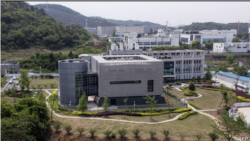 Instituti i Virologjisë, Wuhan
