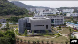 Institut Virologi Wuhan. (Foto:AFP)