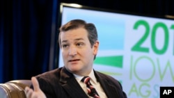 Ted Cruz (AP Photo/Charlie Neibergall)