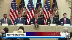 په امریکا کې د سایبري جرمونو او جعلکاریو خلاف اقدامات