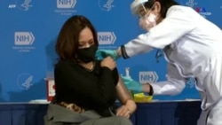 ԱՄՆ-ի փոխնախագահ Քամալա Հարրիսը ստացել է Covid-19-ի դեմ պատվաստանյութի երկրորդ դեղաբաժինը