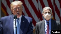 သမ္မတ Trump နှင့် CDC အမေရိကန် ကူးစက်ရောဂါ ကာကွယ်ထိန်းချုပ်ရေးဌာန ဒေါက်တာ Anthony Fauci တို့ကို မေလ ၁၅ ရက်နေ့တုန်းက အိမ်ဖြူတော် သတင်းစာရှင်းလင်းပွဲတွင် တွေ့ရစဉ်
