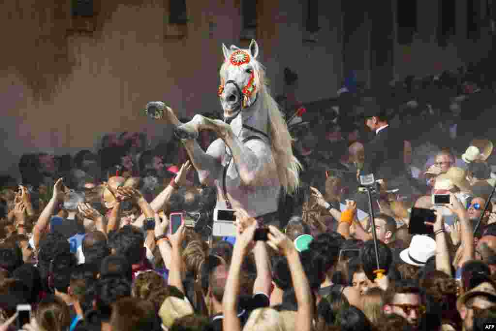 A horse rears in a crowd during the traditional San Juan (Saint John) festival in the town of Ciutadella, on the Balearic Island of Menorca on the eve of Saint John&#39;s day, June 23, 2015.