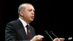 While Turkish President Recep Tayyip Erdogan travels with a big business delegation to Tanzania, Mozambique and Madagascar this week, he is also focusing on what he calls a security threat. 