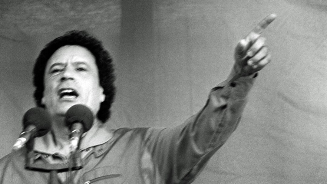 Porno mushuk ichida video