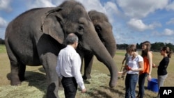 Kenneth Feld (L) CEO of Feld Entertainment Inc., and daughters (R-L) Juliette, Alana, and Nicole, feed elephants Alana and Icky at the Ringling Bros. and Barnum & Bailey Center for Elephant Conservation, Polk City, Florida, March 3, 2015.