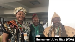 Les chefs traditionnels invités aux échanges pour défendre le droit coutumier sur les terres locales, le 23 janvier 2019. (VOA/Emmanuel Jules Ntap)