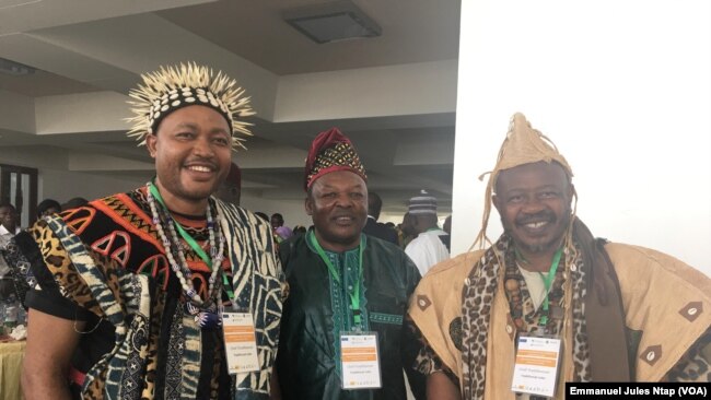 Les chefs traditionnels invités aux échanges pour défendre le droit coutumier sur les terres locales, le 23 janvier 2019. (VOA/Emmanuel Jules Ntap)