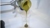 Algae Converted to Crude Oil in Under an Hour