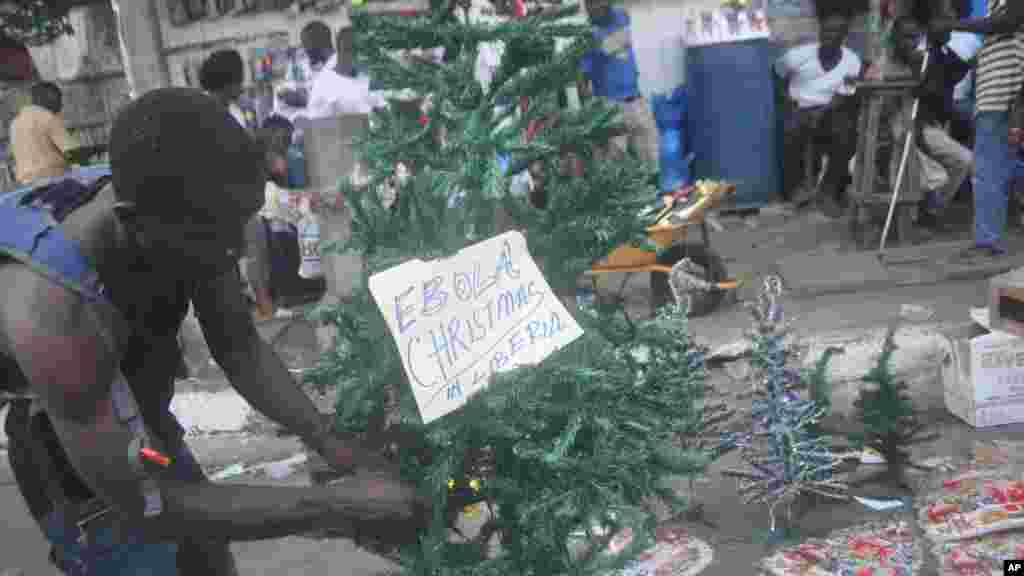 A Liberian man arranges a Christmas tree at a shop in Monrovia, Liberia, 