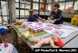 Allison Farley, right, and Rachel Berdan, left, prepare plates with fruit for the 40th birthday party for Foxie, a chimp at the Chimpanzee Sanctuary Northwest near Cle Elum, Wash. (AP Photo/Ted S. Warren).