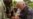 Carter Center Marks Progress in Fight Against Guinea Worm, River Blindness