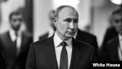 ولادیمیر پوتین، رییس جمهور روسیه