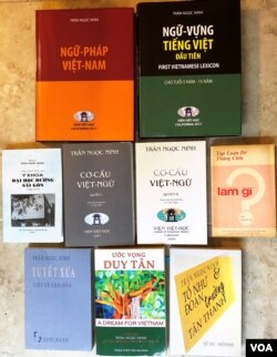 Một số tác phẩm của Gs Trần Ngọc Ninh. [tư liệu Ngô Thế Vinh]