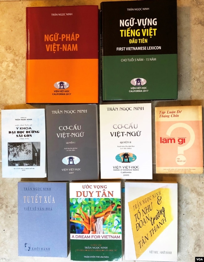 Một số tác phẩm của Gs Trần Ngọc Ninh. [tư liệu Ngô Thế Vinh]