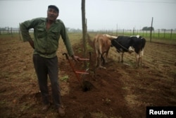 Farmer Juan Hernandez prepares the land to plant tobacco at a tobacco farm in Cuba's western province of Pinar del Rio, Jan. 26, 2016.