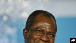 Nigerian Foreign Minister Ojo Maduekwe (file photo)