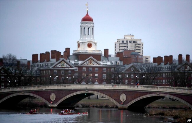 FILE - Rowers paddle down the Charles River past the campus of Harvard University in Cambridge, Mass., March 7, 2017.