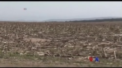 ကမ္ဘာ့ရေရှားပါးမှု