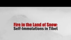 Lửa trong Vùng đất của Tuyết: Các vụ tự thiêu ở Tây Tạng (Trailer)