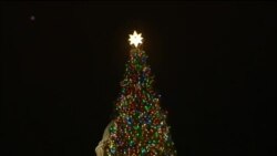 美国国会山点亮圣诞树