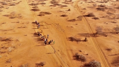 Report: 43,000 Estimated Dead in Somalia Drought Last Year