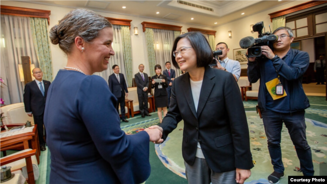 台湾总统蔡英文2019年10月9日接见美国国务院副助卿孙晓雅(台湾总统府提供)