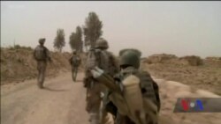 Спеціальний посланець США в Афганістані прибув в Кабул. Відео