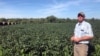 L'agriculteur Randy Miller dans sa ferme de soja à Lacona, dans l'Iowa, jeudi 22 août 2019. 