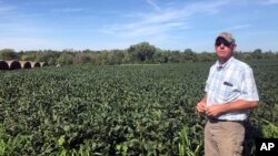 L'agriculteur Randy Miller dans sa ferme de soja à Lacona, dans l'Iowa, jeudi 22 août 2019. 